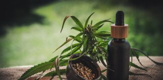 olejek CBD