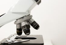 Dlaczego morfologia musi być na czczo? Dlaczego morfologia musi być na czczo?