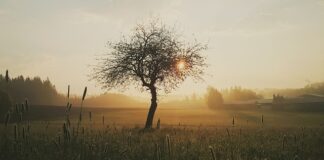 Co stosować na sączące się rany?