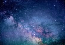 Ile kosztuje badanie witaminy B12 cena?